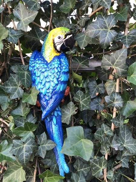 Grote foto set papegaaien gietijzer tuin en terras tuindecoratie