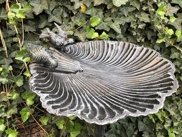 Grote foto fors vogel voer drink bad vol gietijzer zwart grijs rust tuin en terras tuindecoratie