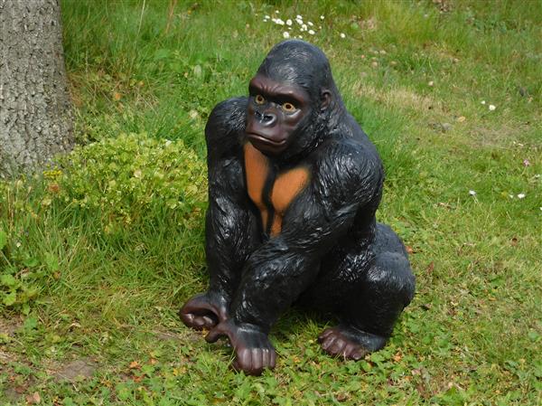 Grote foto prachtige gorilla polystone mooi om te zien. tuin en terras tuindecoratie