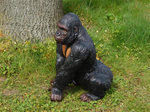 Grote foto prachtige gorilla polystone mooi om te zien. tuin en terras tuindecoratie