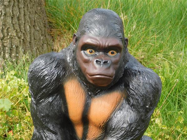 Grote foto prachtige gorilla polystone mooi om te zien. tuin en terras tuindecoratie