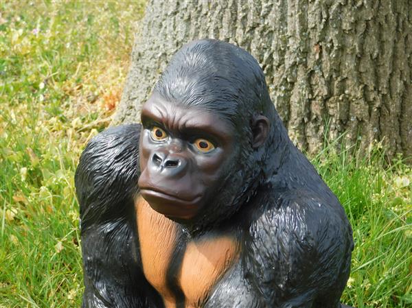 Grote foto prachtige gorilla polystone mooi om te zien. tuin en terras tuindecoratie