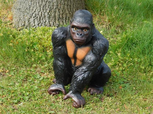 Grote foto prachtige gorilla polystone mooi om te zien. tuin en terras tuindecoratie