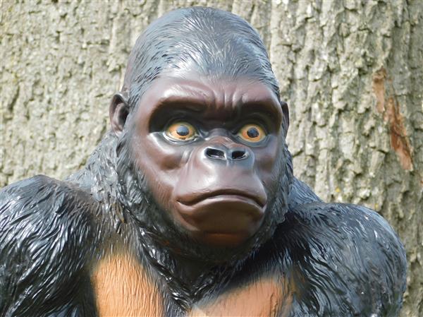 Grote foto prachtige gorilla polystone mooi om te zien. tuin en terras tuindecoratie