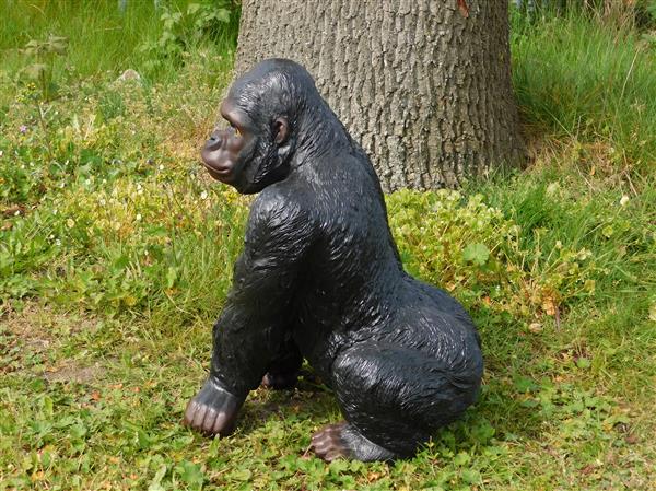 Grote foto prachtige gorilla polystone mooi om te zien. tuin en terras tuindecoratie