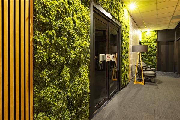 Grote foto hoge kwaliteit kunst mos wand per m2 huis en inrichting kantooraccessoires
