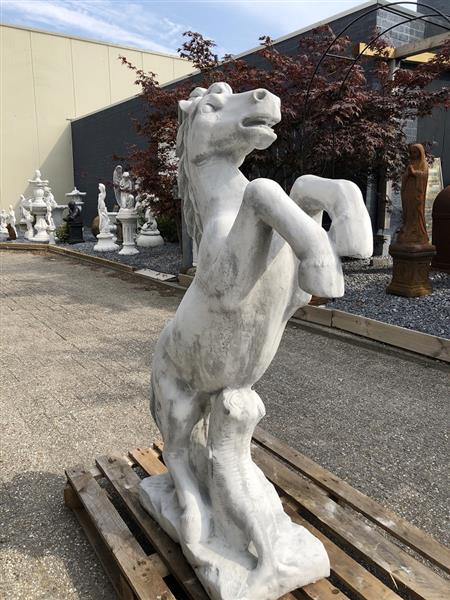 Grote foto steigerend paard groot massief gegoten steen prachtig tuin en terras tuindecoratie