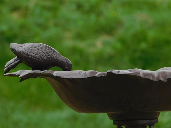 Grote foto groot vogelbad op voet schaal in bladvorm gietijzer tuin en terras tuindecoratie