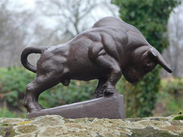 Grote foto sculptuur stier xl gietijzer tuin en terras tuindecoratie