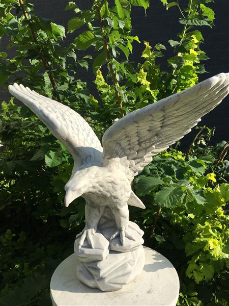 Grote foto adelaar vol steen prachtig beeld. tuin en terras tuindecoratie