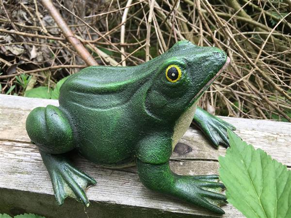 Grote foto prachtige gietijzeren kikker mooi bij de vijver tuin en terras tuindecoratie