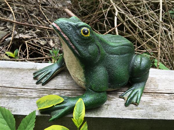 Grote foto prachtige gietijzeren kikker mooi bij de vijver tuin en terras tuindecoratie