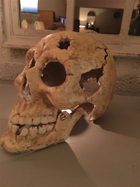 Grote foto grote anatomische schedel gietijzer white rust huis en inrichting woningdecoratie