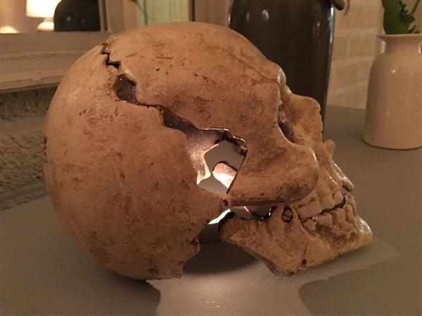 Grote foto grote anatomische schedel gietijzer white rust huis en inrichting woningdecoratie