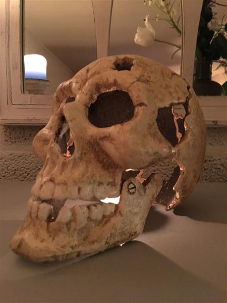 Grote foto grote anatomische schedel gietijzer white rust huis en inrichting woningdecoratie