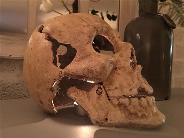 Grote foto grote anatomische schedel gietijzer white rust huis en inrichting woningdecoratie