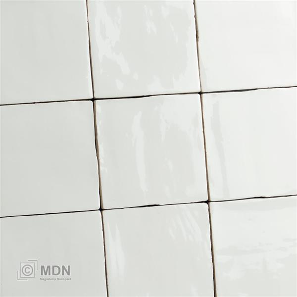 Grote foto handvorm tegels oud hollandse witjes wit hoogglans 13x13 cm 0 5m doe het zelf en verbouw tegels