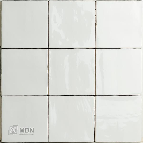 Grote foto handvorm tegels oud hollandse witjes wit hoogglans 13x13 cm doe het zelf en verbouw tegels