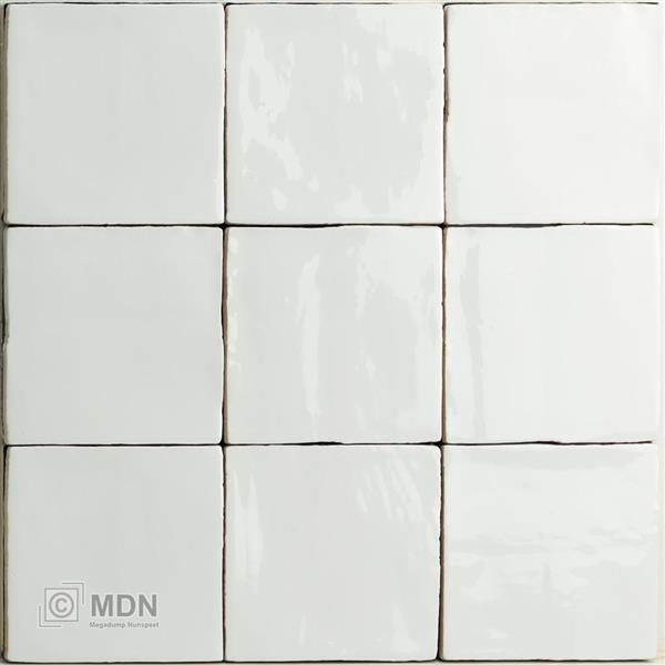 Grote foto handvorm tegels oud hollandse witjes wit hoogglans 13x13 cm 0 5m doe het zelf en verbouw tegels