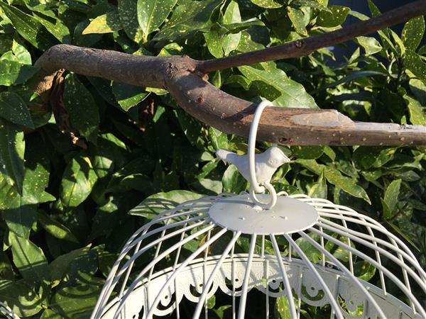Grote foto vogelkooien set kleine grote ronde metalen wit. tuin en terras tuindecoratie
