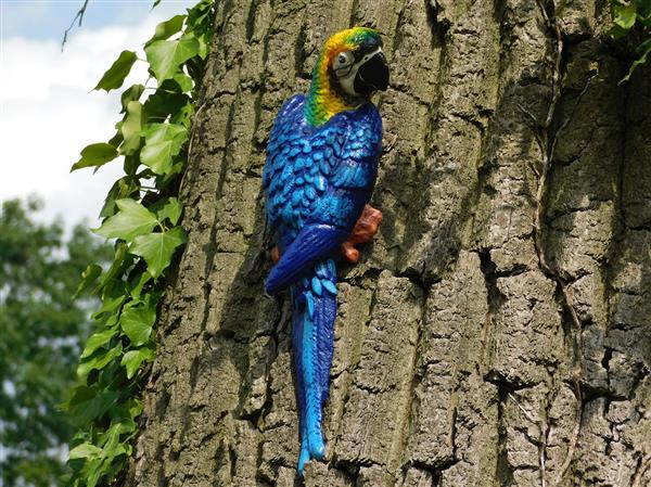 Grote foto blauwe papegaai gietijzer wanddecoratie tuin en terras tuindecoratie