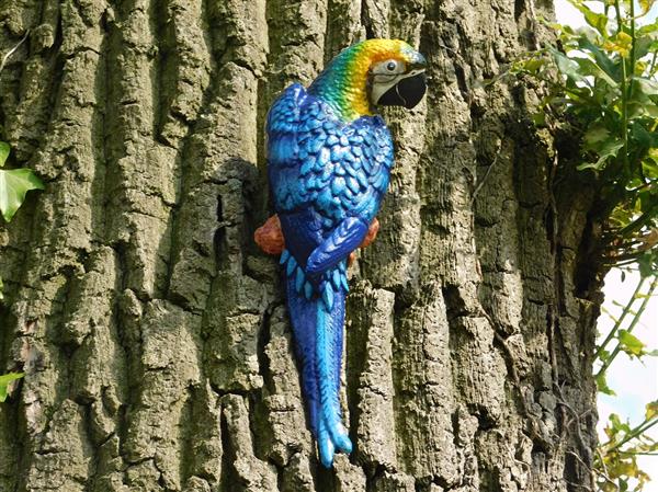 Grote foto blauwe papegaai gietijzer wanddecoratie tuin en terras tuindecoratie
