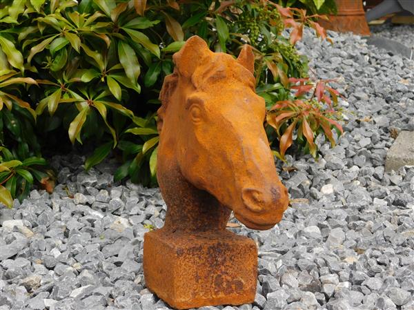 Grote foto paardenhoofd gietijzer in roest optica tuin en terras tuindecoratie