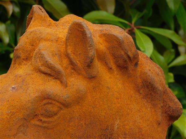 Grote foto paardenhoofd gietijzer in roest optica tuin en terras tuindecoratie