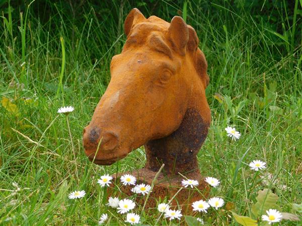 Grote foto paardenhoofd gietijzer in roest optica tuin en terras tuindecoratie