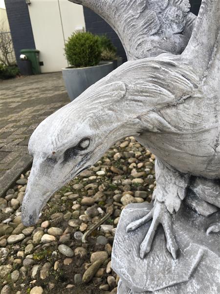 Grote foto werkelijk facinerend massief gegoten stenen beeld van een adelaar supermooi tuin en terras tuindecoratie