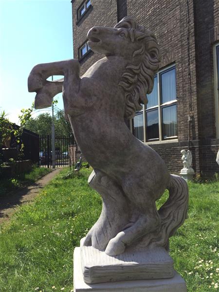 Grote foto steigerend paard klein massief gegoten steen prachtig tuin en terras tuindecoratie