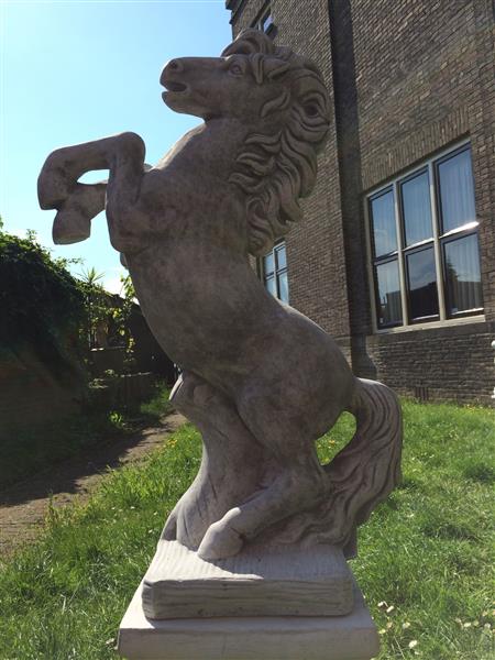 Grote foto steigerend paard klein massief gegoten steen prachtig tuin en terras tuindecoratie