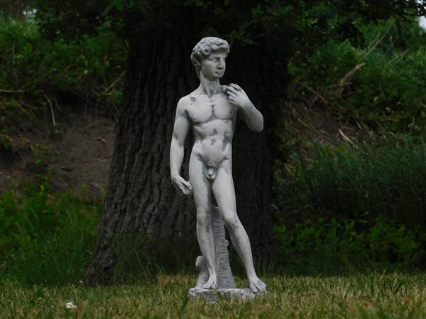 Grote foto beeld vol steen van de bijbelse figuur david tuin en terras tuindecoratie