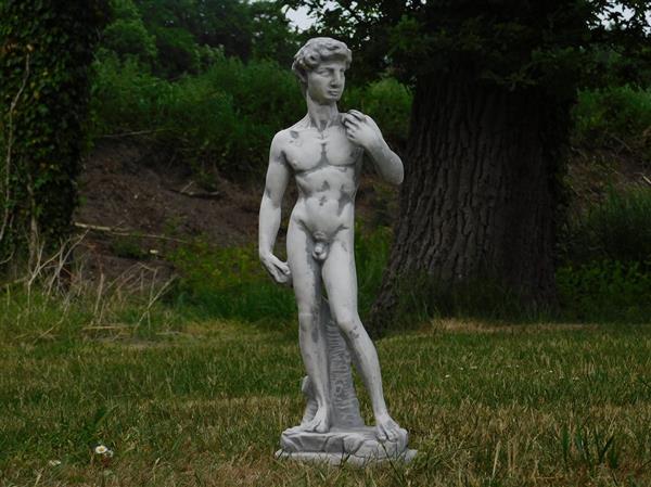 Grote foto beeld vol steen van de bijbelse figuur david tuin en terras tuindecoratie