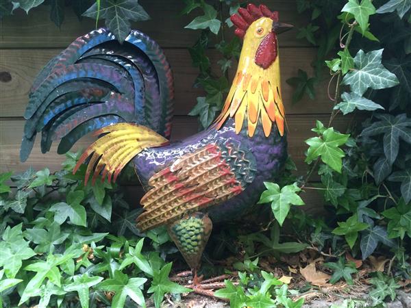 Grote foto mooie haan in volle kleuren van metaal geweldig fraai tuin en terras tuindecoratie