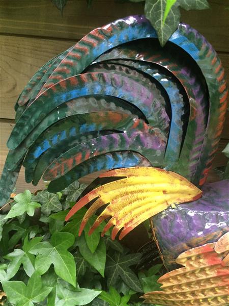 Grote foto mooie haan in volle kleuren van metaal geweldig fraai tuin en terras tuindecoratie