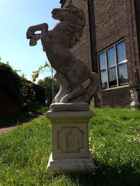 Grote foto paard op sokkel vol steen tuin en terras tuindecoratie