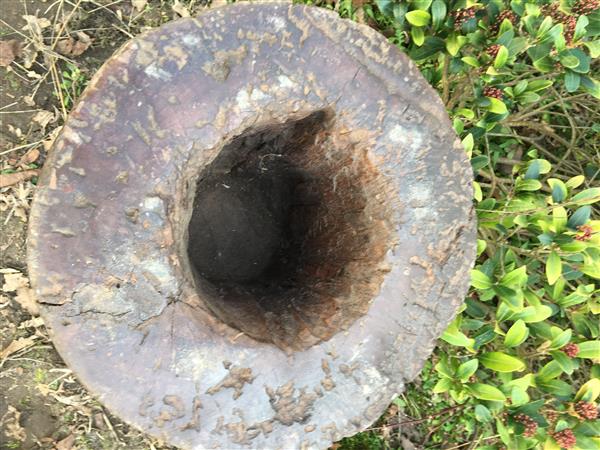 Grote foto prachtige vrouwlijke metalen torso op steigerhouten zuil. tuin en terras tuindecoratie