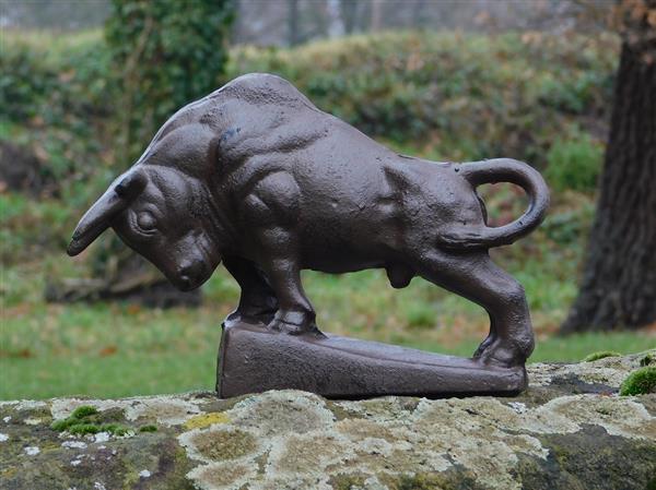 Grote foto sculptuur stier xl gietijzer tuin en terras tuindecoratie