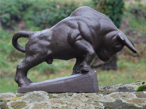 Grote foto sculptuur stier xl gietijzer tuin en terras tuindecoratie