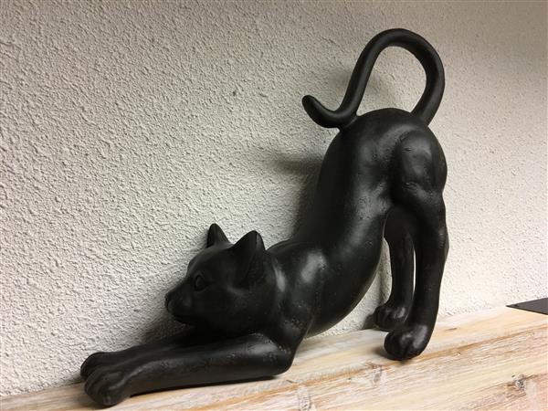 Grote foto sculptuur van een kat die zich uitstrekt tuin en terras tuindecoratie