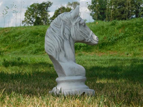 Grote foto beeld paardenhoofd vol steen wit met grijze tinten tuin en terras tuindecoratie