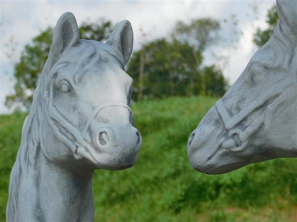 Grote foto set van 2 paardenhoofden steen wit met grijs tuin en terras tuindecoratie