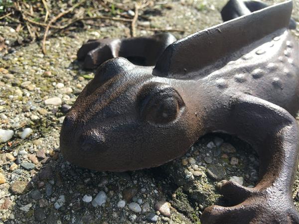 Grote foto schoenzool borstel schraper gietijzer kikker tuin en terras tuindecoratie