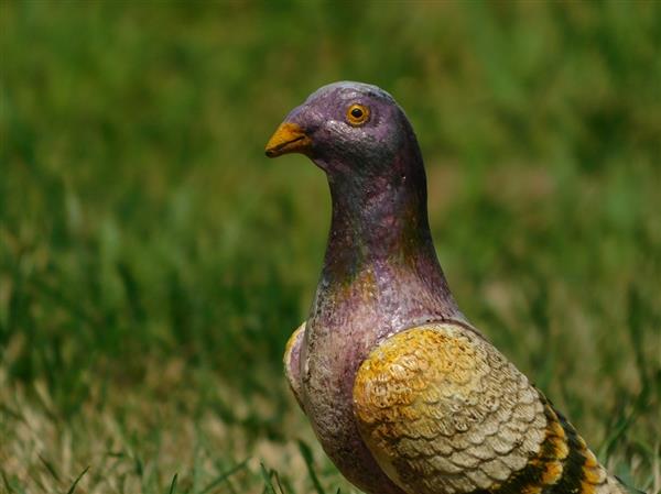 Grote foto duif vol metaal prachtig gekleurd beeldje tuin en terras tuindecoratie