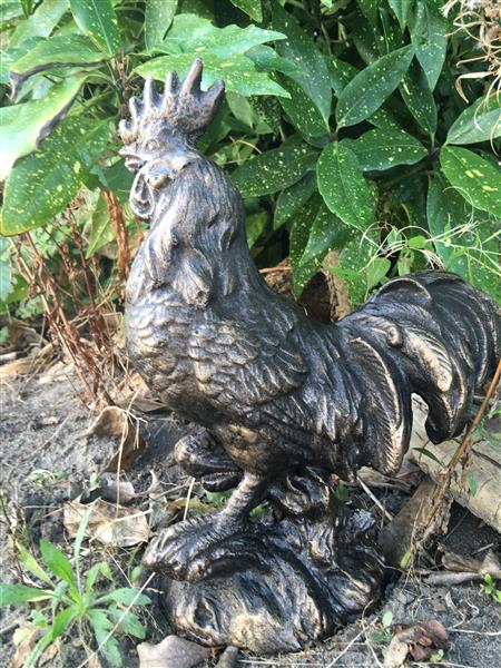 Grote foto sculptuur haan metaal bronskleur tuin en terras tuindecoratie