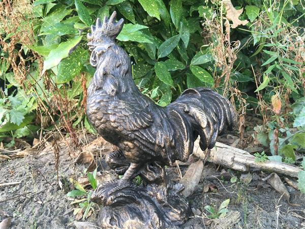 Grote foto sculptuur haan metaal bronskleur tuin en terras tuindecoratie