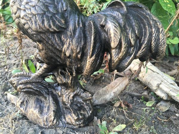 Grote foto sculptuur haan metaal bronskleur tuin en terras tuindecoratie