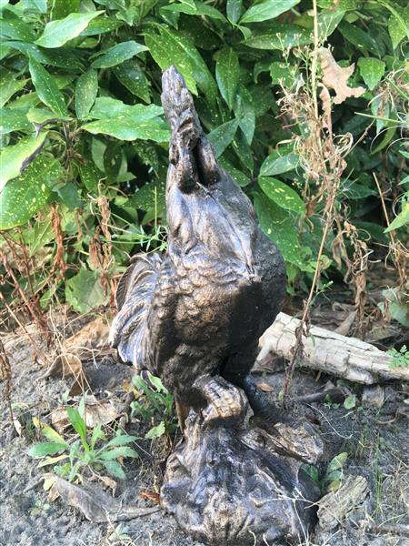 Grote foto sculptuur haan metaal bronskleur tuin en terras tuindecoratie