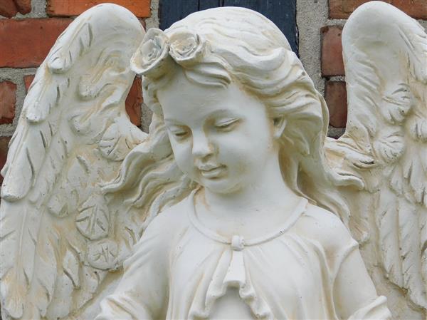 Grote foto engel met schaal polystone wanddecoratie tuin en terras tuindecoratie
